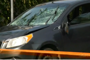 У канадському місті Монреаль 38-річний водій збив дев'ять чоловік 