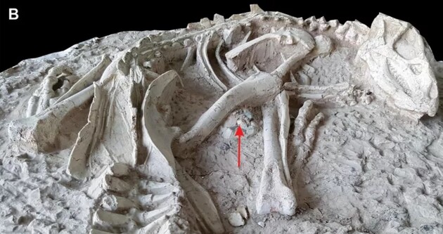 Динозаври спали в норі під час виверження вулкану