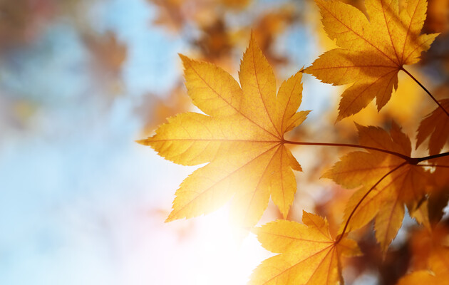 22 вересня в Північній півкулі настає астрономічна осінь