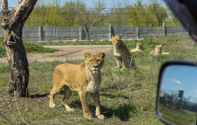  Фото: aquaparkodessa