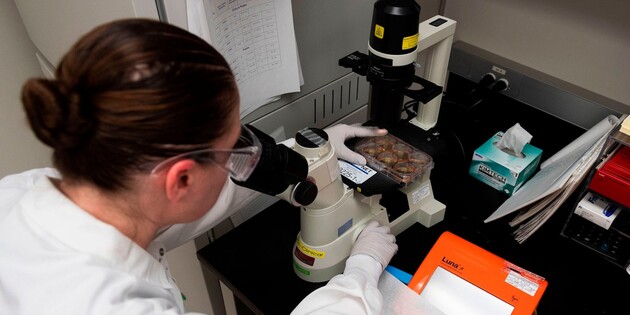 Фото: businessinsider.nl