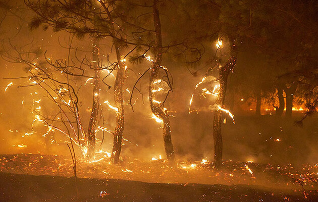 Фото: РЛП "Краматорский"