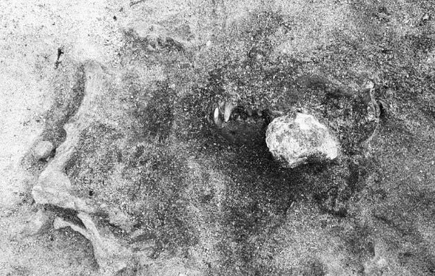 Собаку похоронили вместе с людьми