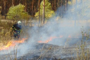 На Луганщине снова бушуют лесные пожары: проводится эвакуация населения