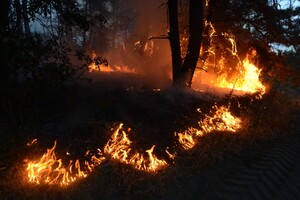 Во время масштабных пожаров в Луганской области погибли четыре человека, еще трое госпитализированы