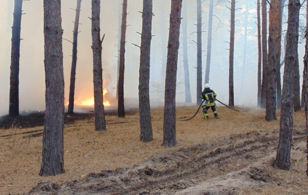 В результате пожаров в Луганской области погибло 9 человек