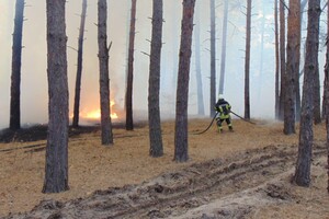У результаті пожеж в Луганській області загинуло 9 осіб 