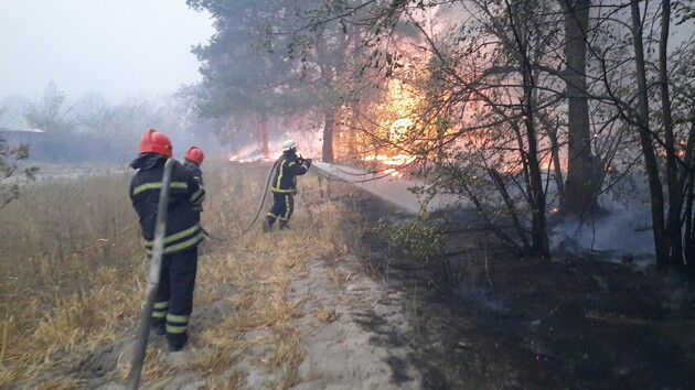В Луганской области ликвидировали большинство пожаров - ГСЧС