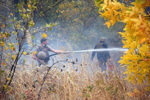 Пожежі в Луганській області: в ООС повідомляють, що евакуйовано майже тисячу осіб, а в ДСНС називають інше число