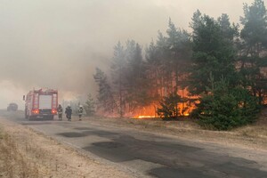 Пожежі на Луганщині забрали життя дев'ятьох людей, 17 постраждали 