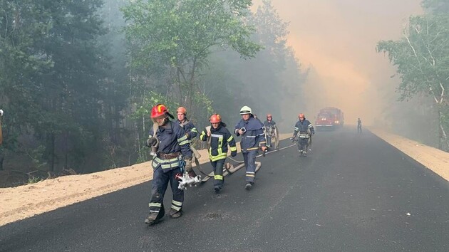 Из-за пожаров в Луганской области полиция открыла 11 дел 
