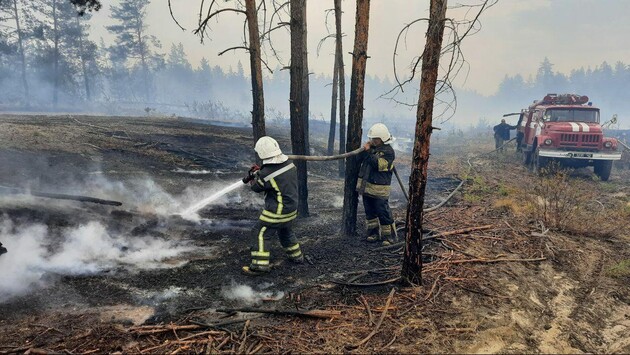 В Луганской области осталось ликвидировать один очаг возгорания