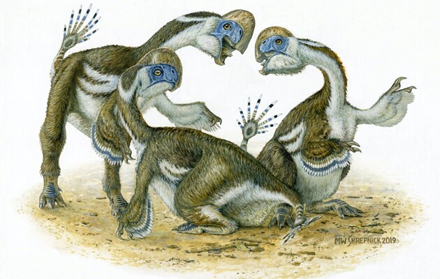 Палеонтологи описали динозавра з дзьобом і двома пальцями на передніх лапах 
