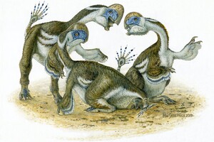 Палеонтологи описали динозавра с попугайским клювом и двумя пальцами на передних лапах