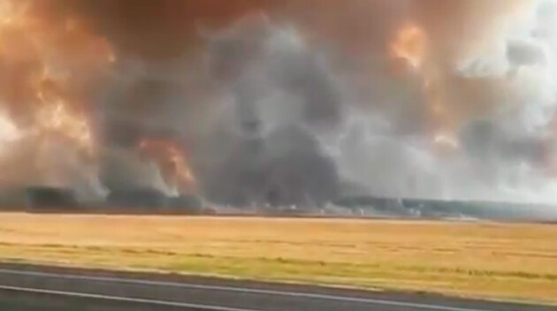  Фото: Daily Storm