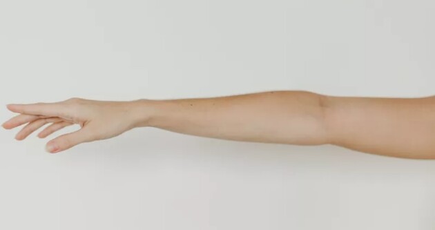 У людей, которые родятся через 80 лет, может быть дополнительная артерия