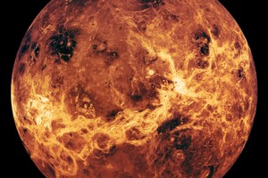 На Венере обнаружили признаки живых организмов 