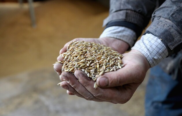 Украина с июля экспортировала 15 млн тонн зерновых