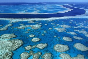 Біля берегів Австралії виявили новий гігантський кораловий риф 