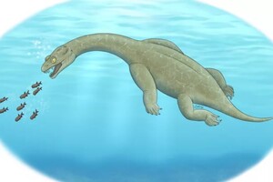 Палеонтологи знайшли новий вид стародавньої рептилії з «поплавком» 