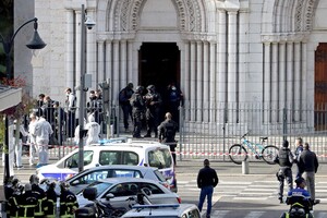 Рада Європи висловила підтримку Франції у зв'язку з терактами в Ніцці 