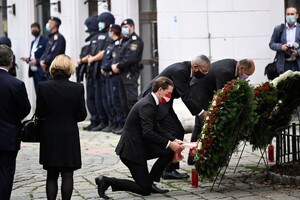 В Австрии объявили трехдневный траур после теракта в Вене