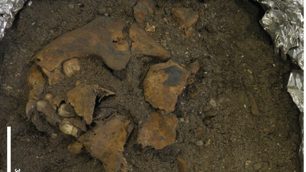 Археологи знайшли в Індонезії унікальне дитяче поховання 
