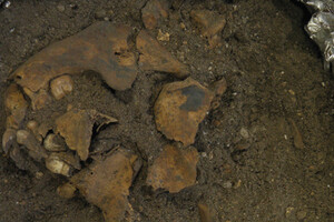 Археологи знайшли в Індонезії унікальне дитяче поховання 