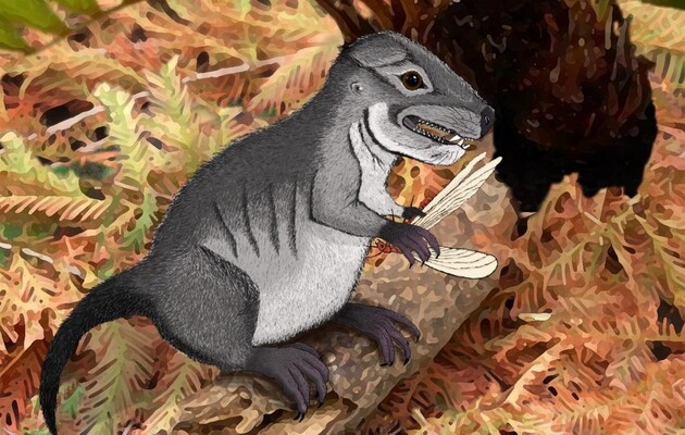 Істота жила на Землі 220 мільйонів років тому