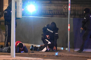 Теракт у Відні: 14 осіб затримано