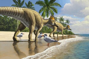 Сухопутные динозавры оказались способны переплыть океан