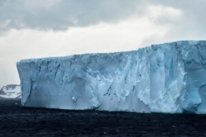 Гигантский айсберг угрожает колониям пингвинов и тюленей