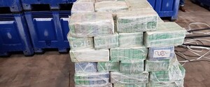 Полиция Бельгии обнаружила в порту Антверпена 11,5 тонн кокаина: подозревают правоохранителей