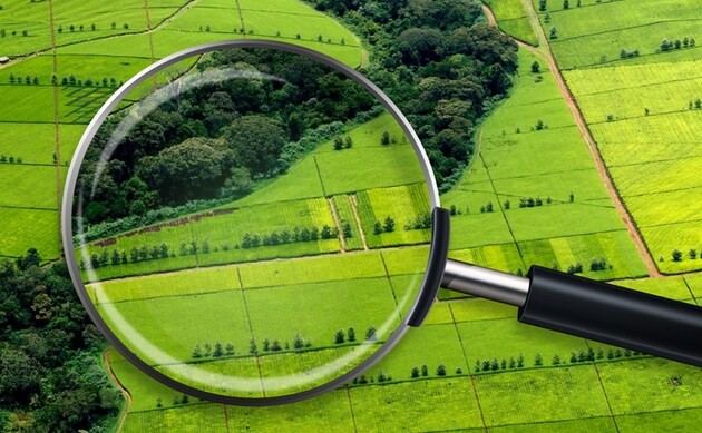 Економічна правда