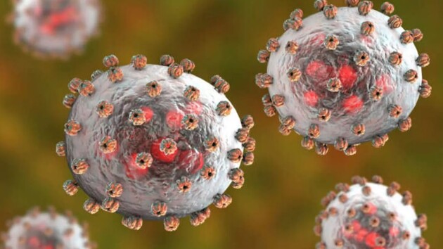 Вірус Чапаре передається від людини до людини