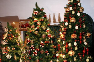 Во Франции рождественские елки стали предметом первой необходимости