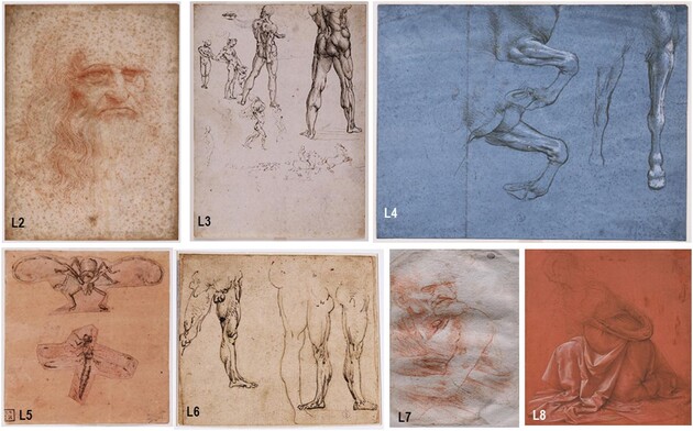 Ученые нашли бактерии и человеческую ДНК на рисунках Леонардо да Винчи