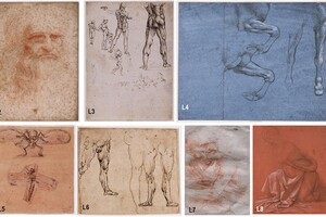 Вчені знайшли бактерії і людську ДНК на малюнках Леонардо да Вінчі 