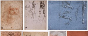Ученые нашли бактерии и человеческую ДНК на рисунках Леонардо да Винчи