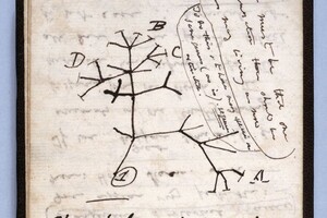 В Кембридже украли рукописи Дарвина — пропажу обнаружили, спустя 20 лет