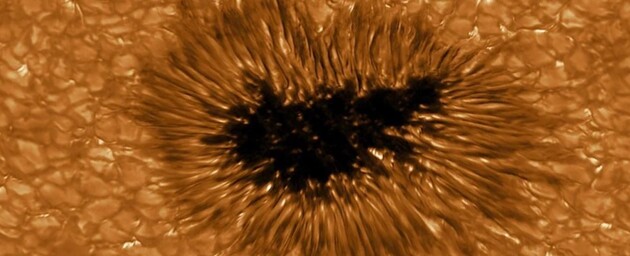 Вченим вдалося передбачити появу плям на Сонці 