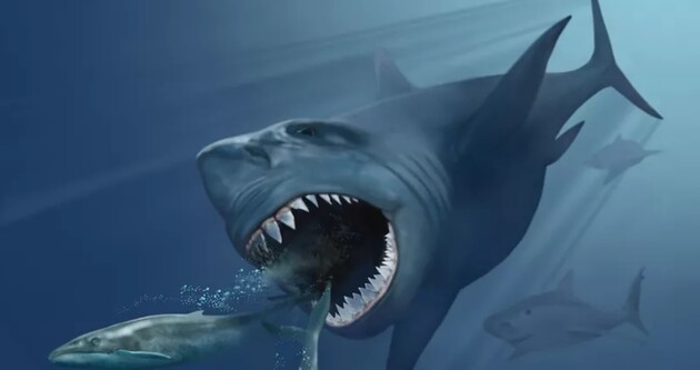 Мегалодони вимерли через зміни клімату