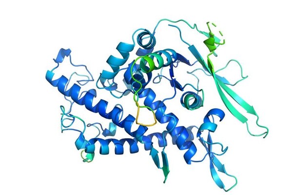 Нейромережа вирішила задачу прогнозування згортання білків