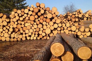 Еврокомиссия ожидает до конца года снятия запрета на экспорт леса-кругляка