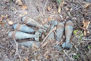 У Донецькій області виявлено схованку з мінометними мінами 