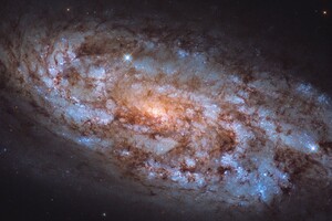 «Хаббл» сделал снимок «космической кузницы»