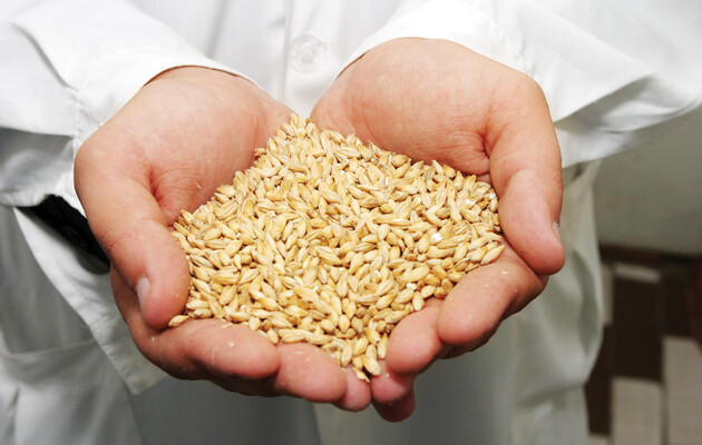 В Україні зібрали 63,5 млн тонн зернових і зернобобових 