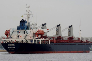 Незаконний видобуток піску в Криму: ВРП забрала доплати у судді, який зняв арешт із судна Seabreeze