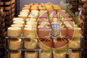 АМКУ оштрафував виробників масла і сиру на 111 млн грн 