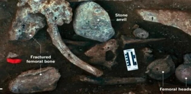 Вчені вважають камені знаряддям праці стародавніх людей